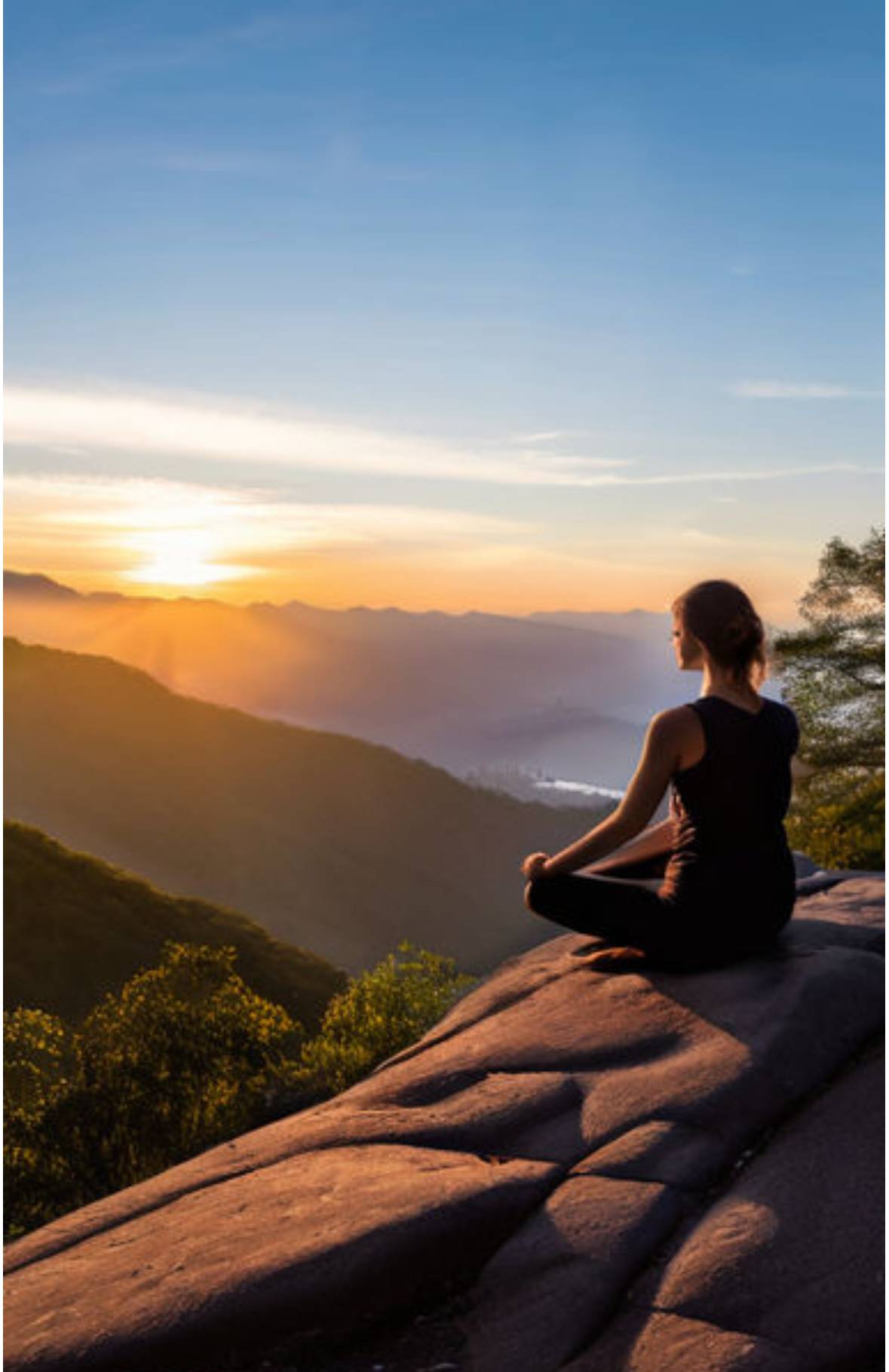chakkrasana and padmasana